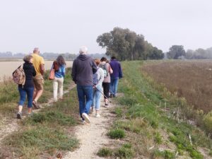 Balades guidées